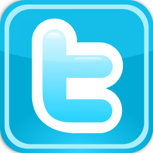2000px-Twitter_Logo_Mini.svg_-300x300